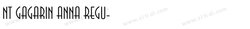 NT Gagarin Anna Regu字体转换